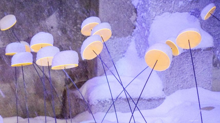 Archivbild: Jon Duschletta