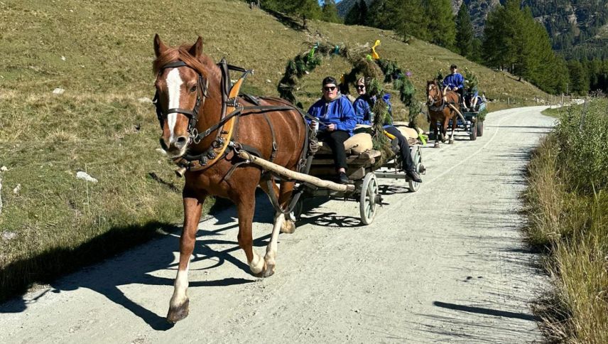 Beispiel Giuventünas: hier die "Charreda" der Societed da giuventüna Samedan. Foto: Nicola Willen 