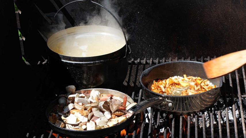 Aus den gesammelten Spiesepilzen wurde eine köstliche Pilzpfanne mit 17 verschiedenen Sorten gekocht. Foto: Stefanie Wick Widmer