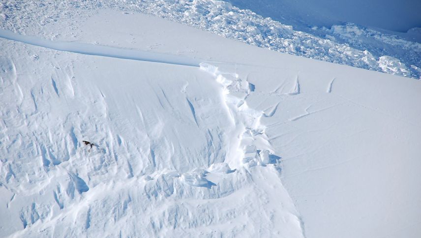 Risse in schwachen Schneeschichten breiten sich schneller aus als erwartet. Das könnte zu grösseren Lawinen führen. Das haben Forschende des SLF
herausgefunden. Foto: WSL-SLF
