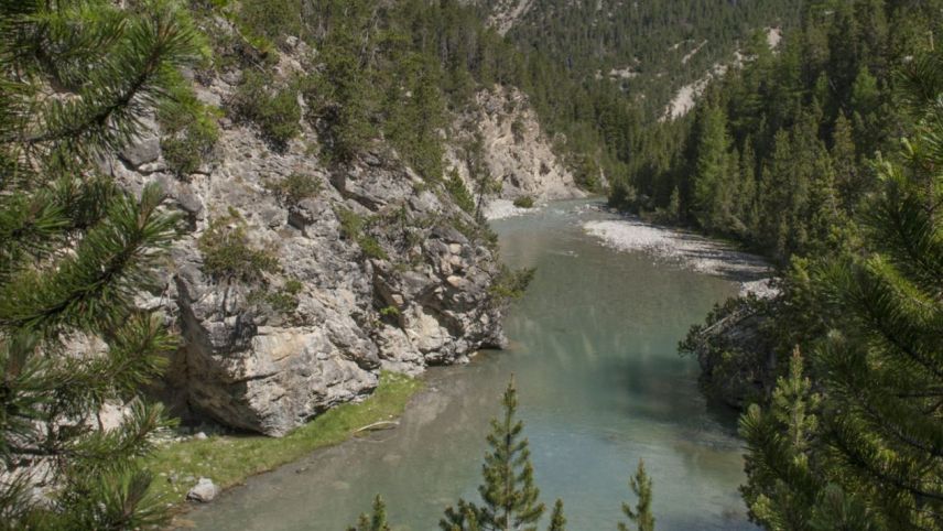 A partir dal 2026 dess gnir sanà il Spöl dal tössi PCB. Ils cuosts vegnan prefinanziats da las Ouvras electricas d’Engiadina (OEE). fotografia: PNS