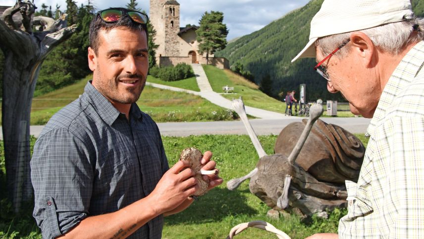 Pilzkontrolleur Raffaele Greco erläutert den Unterschied zwischen dem Parasol und seinem ungeniessbaren Verwechslungspartner, dem Safranschirmling. Im Workshop werden die Pilzfunde beschrieben und bestimmt. Foto: Stefanie Wick Widmer