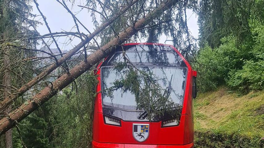 Baumwurf zwischen Ardez und Scuol. Foto: RhB. 