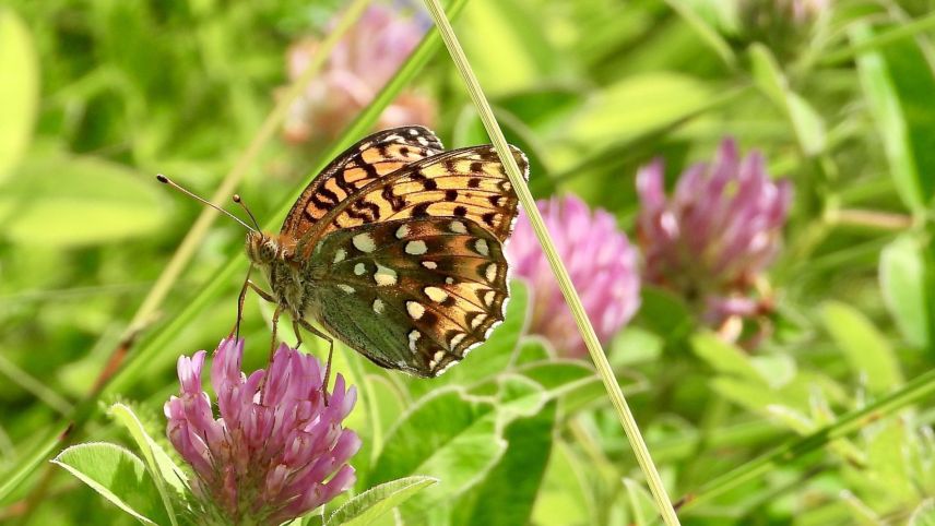 Foto: Monika Baumüller