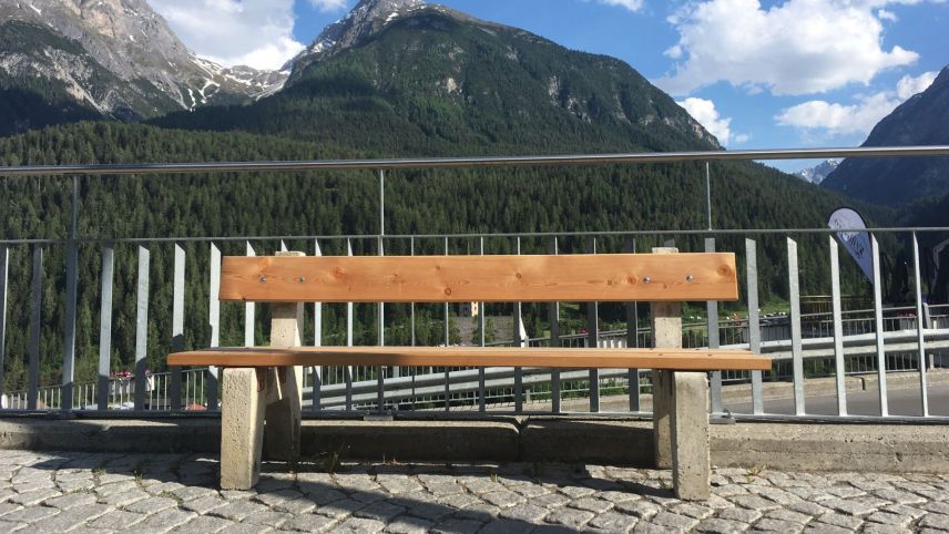 Il banc brün as chattaraja in avegnir in tuot il territori da Scuol (fotografia: Annatina Filli).