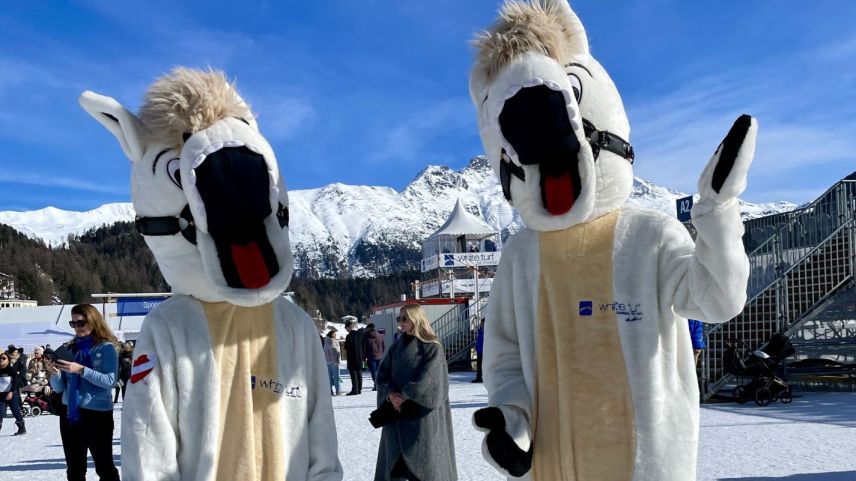 Sie sind die beliebtesten Fotosujets für Selfies. Foto: Fadrina Hofmann