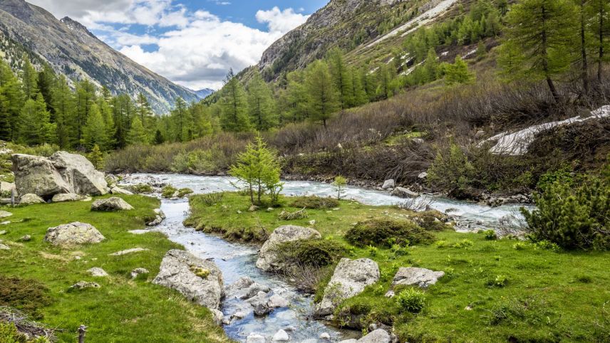 Der Beverin ist der erste Fluss der Schweiz, der den Titel "Gewässerperle Plus" tragen darf. Foto: Daniel Zaugg