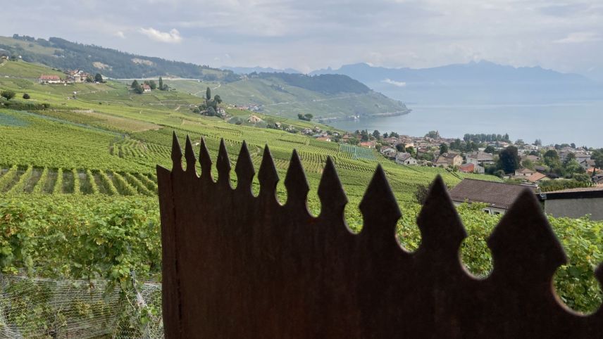 Foto: Jon Duschletta