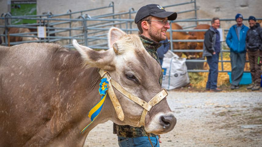 Sie ist die neue Miss Bregaglia, Topica von der Hofkäserei Pungel in Vicosoprano.  Foto: Daniel Zaugg