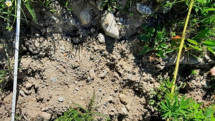 ...  und die gleiche Fläche ein Jahr später und ohne weitere Massnahmen wie beispielsweise eine Begrünung. Fotos: Georg Flückiger