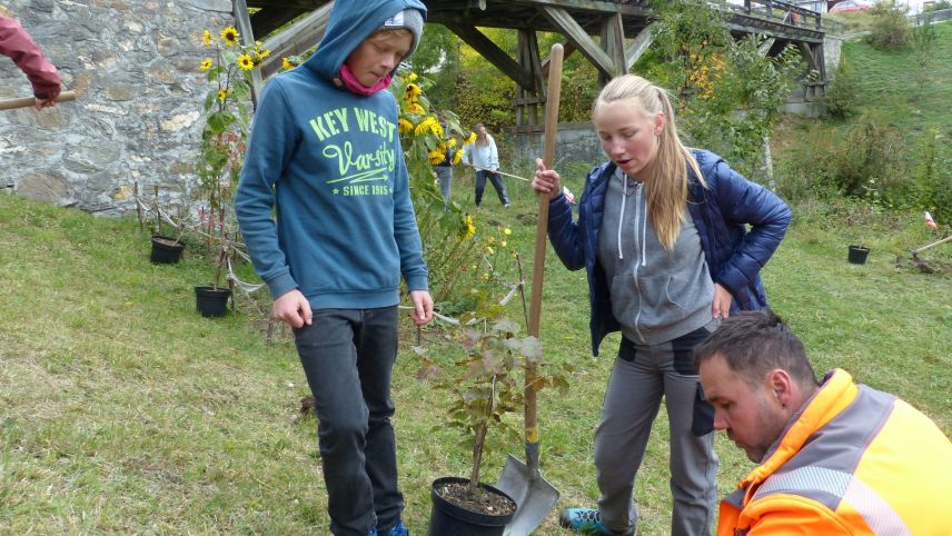 Il silvicultur Gisep Rainolter ha güdà a las scolaras e scolars da la prüma secundara ad implantar la bos-cha (fotografia: Flurin Andry).