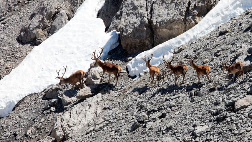 Foto: Claudio Gotsch