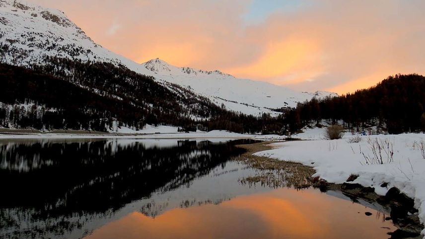 Surlei. Foto: Katharina von Salis