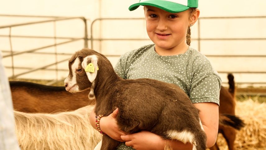 Impressionen der Agrischa 2026 in Zernez. Foto: Jon Duschletta