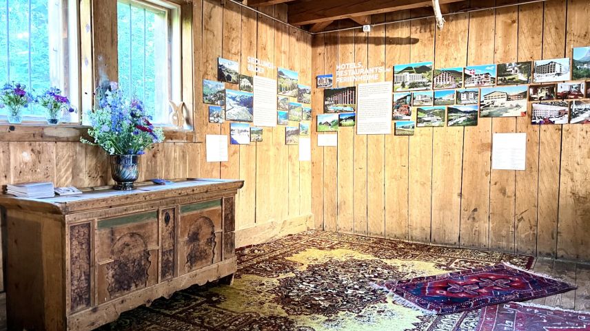 Die Postkartensujets sind thematisch geordnet. Foto: Carolin A. Geist