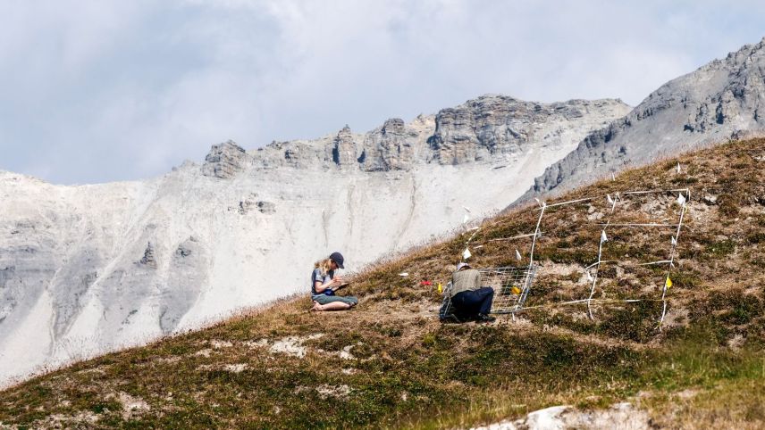 Zwei Forscherinnen des SNP während der Vegetationsaufnahme auf Minschuns. Ihr Augenmerk richtet sich mehr auf die Bodenvegetation denn auf die spektakuläre Arbeitsumgebung. 	Foto: Jon Duschletta