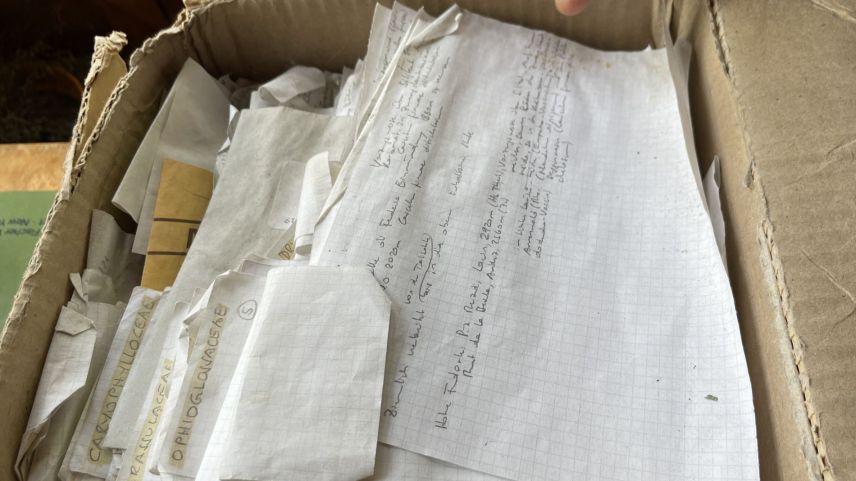 Unzählige Inventare lagern im Haus in Bever. Foto: Fadrina Hofmann