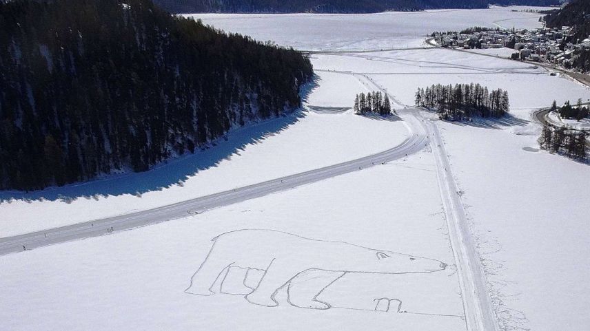 Eisbär-Figur und Foto: Marianne Steiger