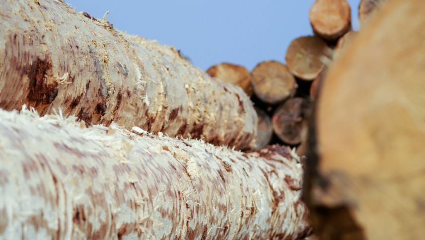 Foto: Jon Duschletta