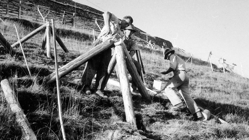 Aufbau eines Holzschneerechens: Solche Versuchsverbauungen (hier am Dorfberg oberhalb von Davos) dienten der Weiterentwicklung wirksamer 
Lawinenschutzmassnahmen. Foto: Archiv SLF