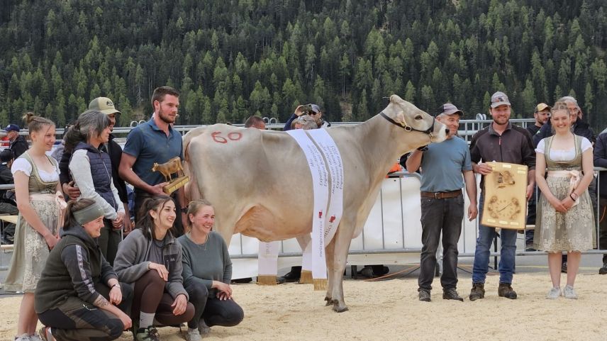 Die "Miss Exposiziun districtuala Engiadina Bassa 2025" heisst Belinda. Foto: Leta à Porta