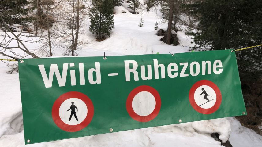 Wer im Winter dieses Banner beim Forsthof in Sils missachtet, tut dem Wild keinen Gefallen. Foto: Marie-Claire Jur