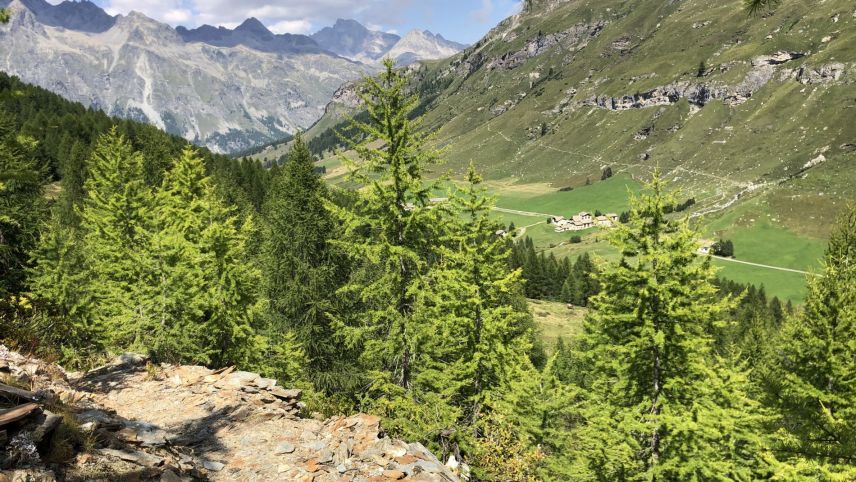 Während die Wanderer über die Schieferplatten des Erlebnispfades spazieren, kommen sie auch in den Genuss von prächtigen Ausblicken ins Fextal. Foto: Marie-Claire Jur