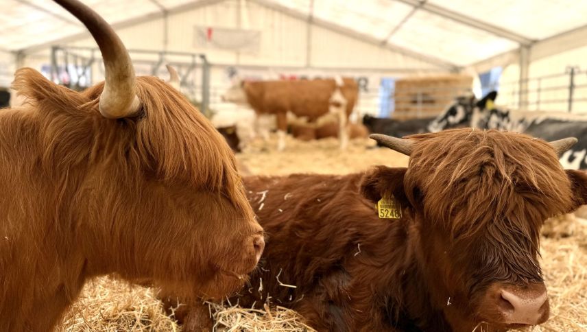 Impressionen von der Agrischa 2026. Foto: Fadrina Hofmann