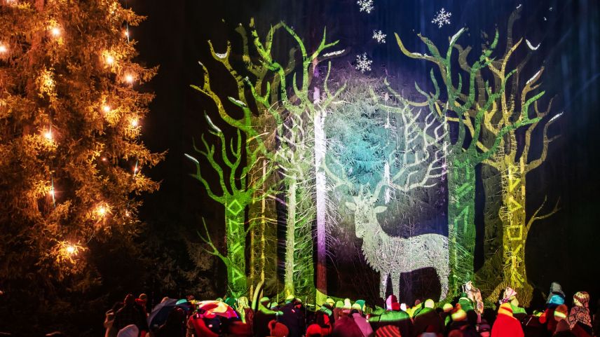 In favrer vain iglüminà il god a Sur En – per il spectacul cul nom «Fascinaziun Lichterwald» (visualisaziun: Maria Vieli).