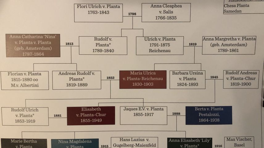 Die vorgestellten Planta-Frauen entstammen vier Generationen, wie der Stammbaum aufzeigt.