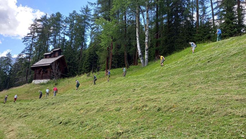 Die Mäherinnen und Mäher bei der Arbeit, während das Carillon erklingt. Foto: Bettina Gugger