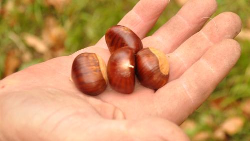 Foto: Marice-Claire Jur