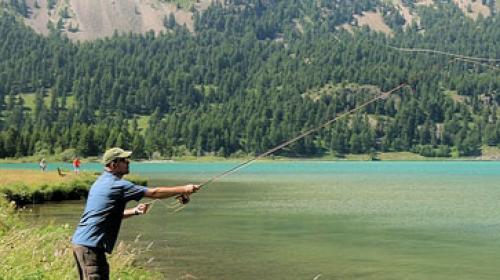 Foto: Amt für Jagd und Fischerei Graubünden