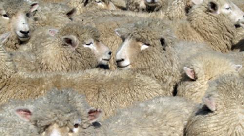 fotografia: Archiv Posta Ladina