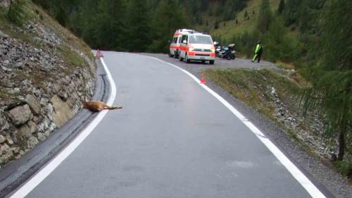 Foto: Kantonspolizei