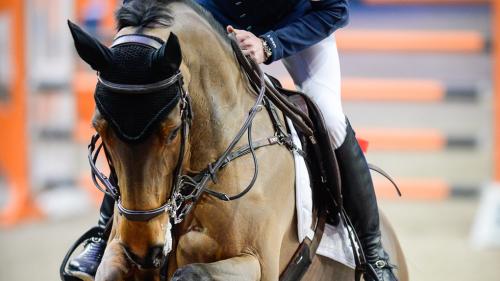 Scott Brash in Aktion. Foto: z. Vfg