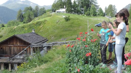 Cilgia Florineth dal Muglin vegl a Ftan declera co cha la moula funcziuna als uffants dal program «(S)pass da vacanzas». Sül chomp vezzan ils uffants las differentas sorts da gran (fotografia: Selina Bisaz).