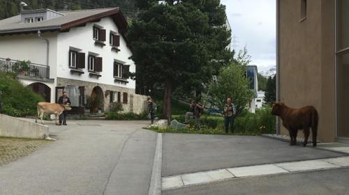 Foto: Kantonspolizei Graubünden