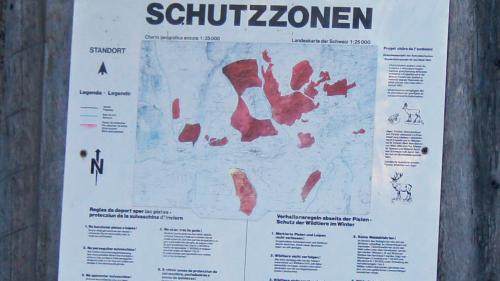 Foto: Jon Duschletta