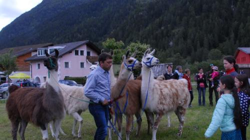 Isidor Sepp, chi ha laschà gnir a tuots sün seis bain, declera als uffants co agir invers ils lamas (fotografias: Selina Bisaz).