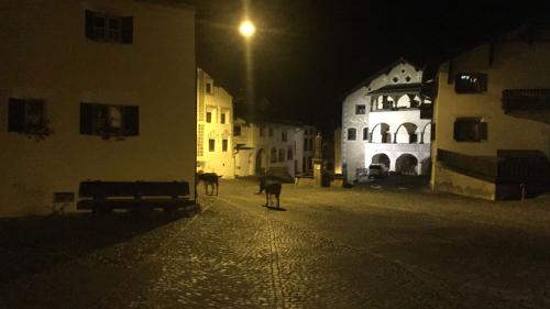 Esel in Scuol. Bild: Cla Mosca