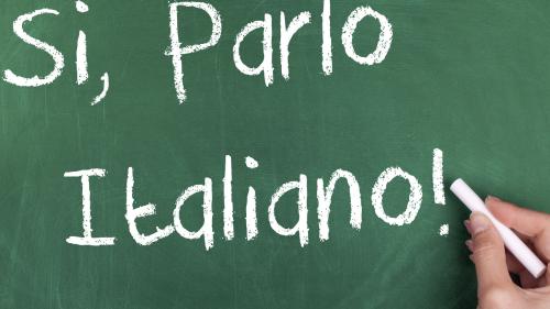 Foto: shutterstock.com/Aysezgicmeli