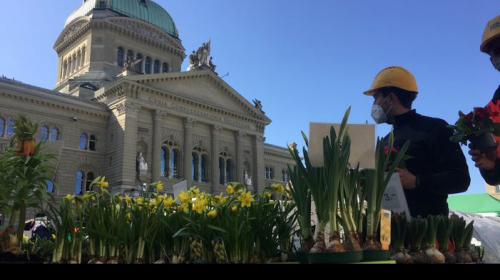 Der Berner Märit ist ein Unikum: Seit Jahren Woche für Woche vor dem Parlament aufgebaut. Foto: Ruth Bossart