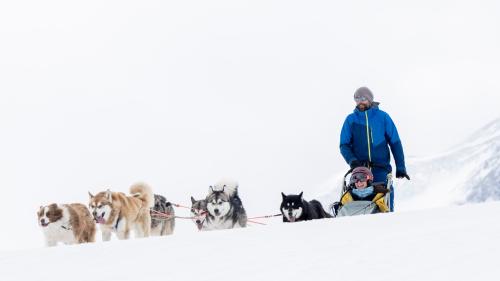 Giulia Monigatti von Engadin Tourismus zeigte sich von der Hundeschlittenfahrt begeistert (Foto: Mayk Wendt).