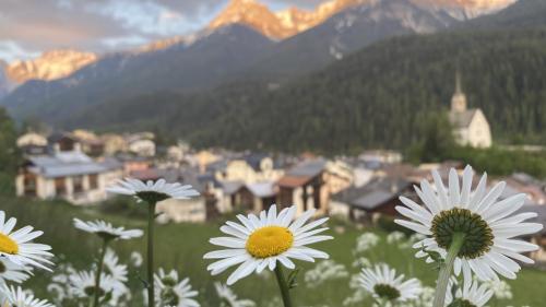 Wunderschöne Momente können einfach und unkompliziert online mit der Leserschaft der EP/PL geteilt werden (Foto: Nicolo Bass).