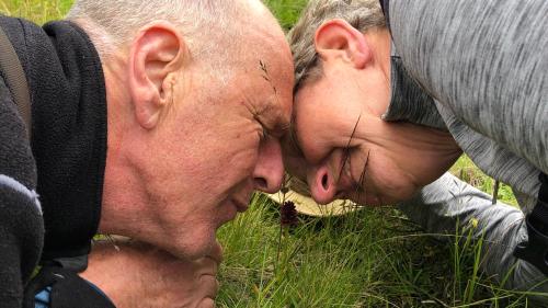 Jeroen van Westen und Thea van der Geest erkunden riechend die Landschaft (Foto: Somalgors74).