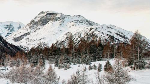 Der Buchumschlag von Arquints neustem Werk «Eiszeit, Auszeit» Foto: Z. Vfg

