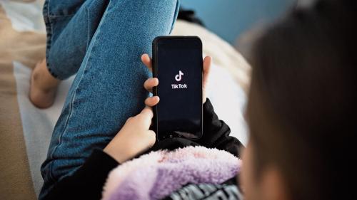 Junge Erwachsene nutzen vornehmlich die sozialen Medien als Informations- und Kommunikationskanal. Besonders die Plattformen TikTok und Instagram erfreuen sich grosser Beliebtheit. 		Foto: shutterstock.com/phBodrova