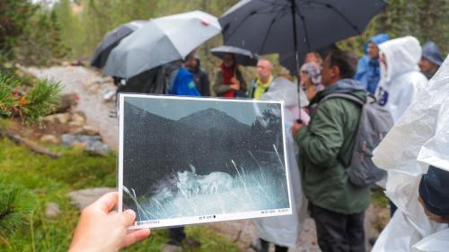 Rund 30 Fachpersonen aus vier europäischen Ländern erhielten am Mittwoch theoretische und praktische Einblicke in die Wirkweise des Schweizerischen Nationalparks. Fotos: SNP/Fadri Wehrli