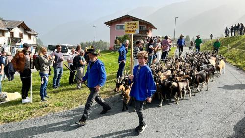 Der Umzug ist jeweils der Höhepunkt der Festa da la racolta. Foto: Jon Duschletta